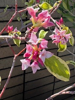 今年のアナタを忘れない