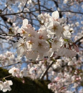 今年も出会えた！