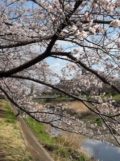 花と水辺と青空と