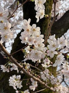 ただ、ありがとう