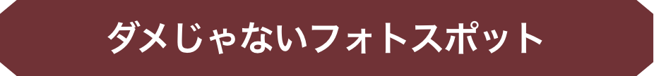 ダメじゃないフォトスポット