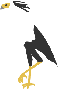 ヘビクイワシ