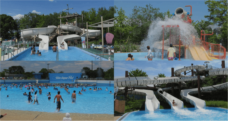 東武動物公園 プール
