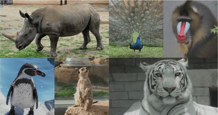 東武動物公園 動物園