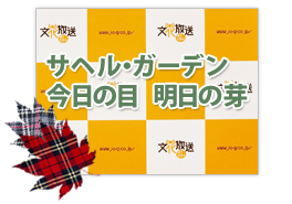 サヘル・ガーデン　今日の目　明日の芽