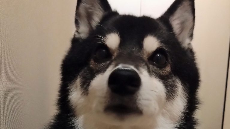 空中に何かあるんですか？