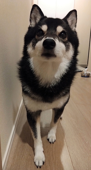 紋次郎写真