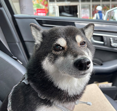 ウィンク寸前
