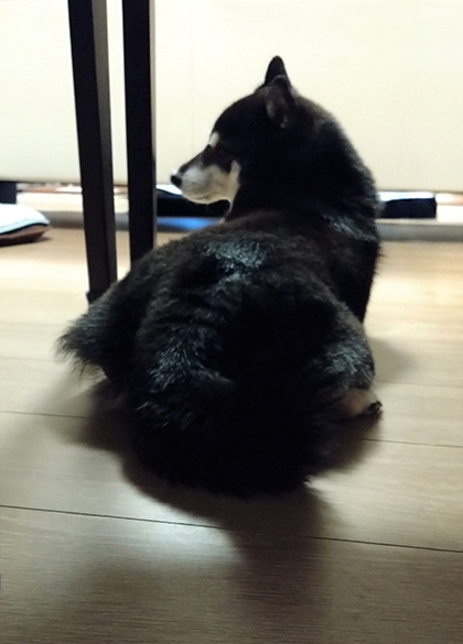 紋次郎写真