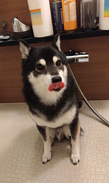 紋次郎写真