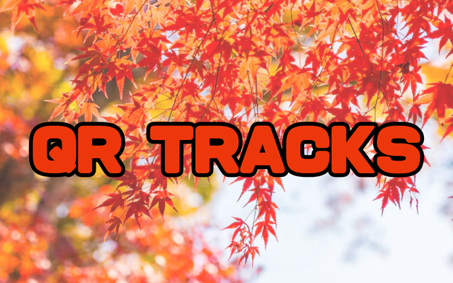 QR TRACKS