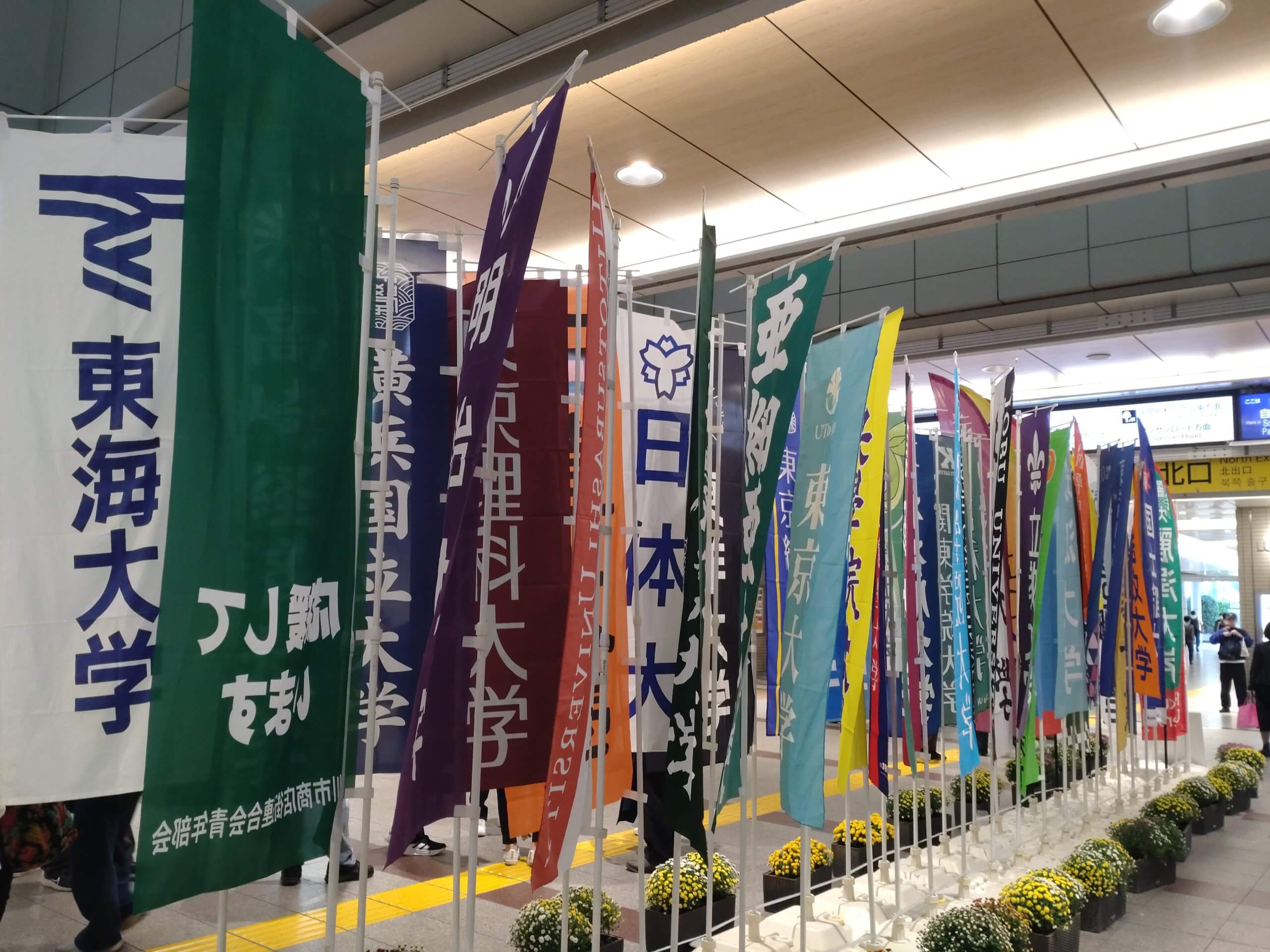 【アナコラム】高橋将市「箱根駅伝予選会のお話」