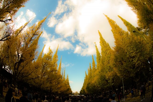 「神宮外苑を、未来につないでいく。」神宮外園地区まちづくりの広告に大竹が一ツッコミ「大きな木切って、小さい木を植えますって本数かい！」