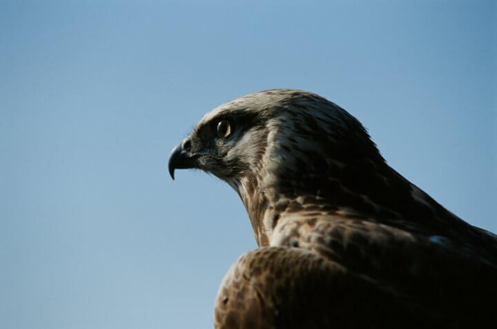 「タカ派ですらない」古谷経衡が語る高市政権