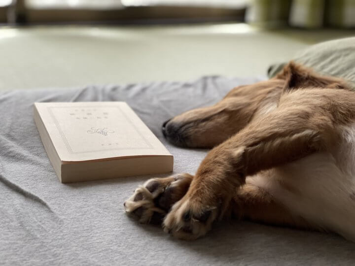 「この本を書くのはきつかった」伊集院静が愛した“バカ犬”とのペットロスを語る