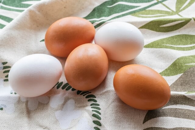 日本で深刻な卵の価格高騰と品薄問題、世界では食糧危機の火種が！