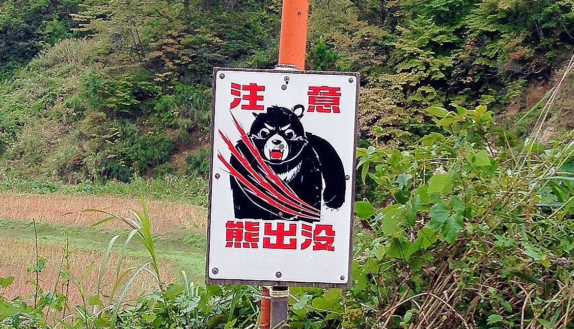 「意思疎通できません！」寺島アナが動物にインタビューした怖さを語る…クマ被害ニュースにコメント