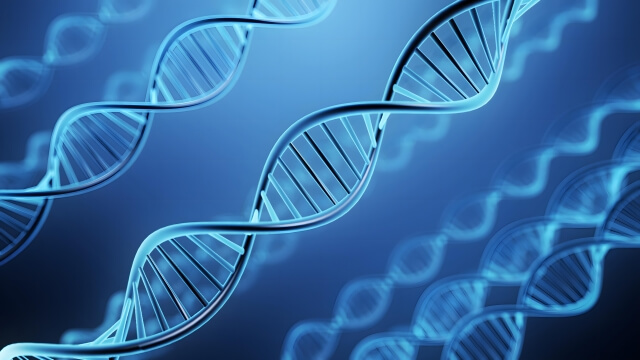 全身保存3600万円！ ベルリン企業の“遺体冷凍保存”に富裕層殺到？ 低価格版も