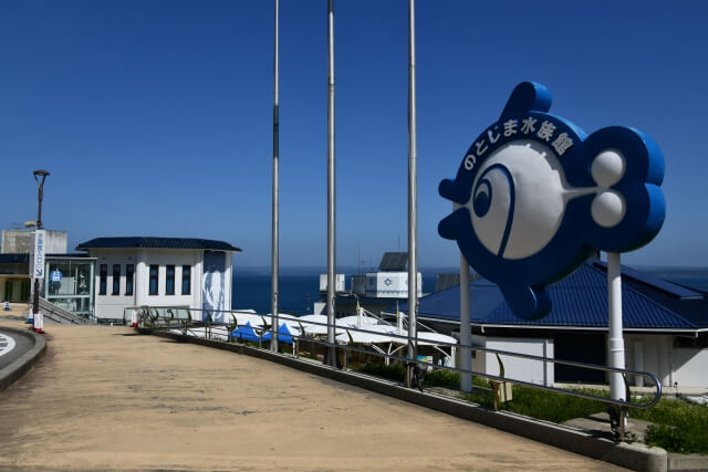 のとじま水族館のジンベイザメ　地震直後は生きていたが…