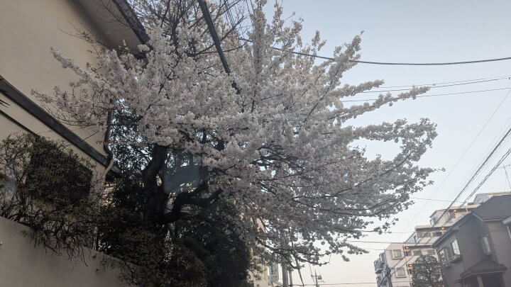 【水谷加奈の劇場型恋愛体質】15年。一期一会