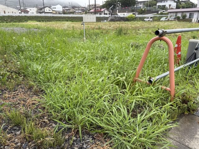 外国人の土地取得、国籍の届け出を義務付けへ 藤井氏「これは素晴らしい話ですよね」