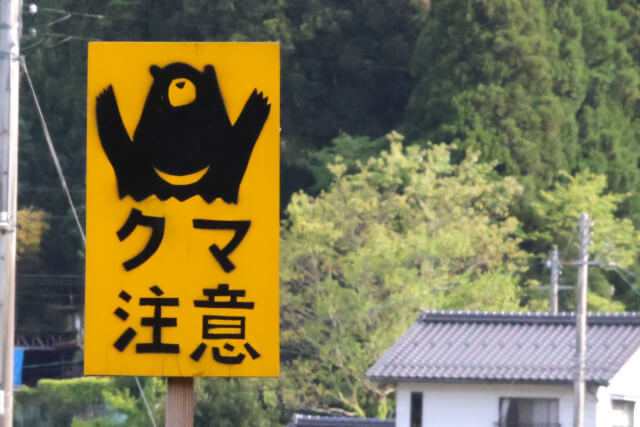 クマ対策に警察官のライフル使用を検討「安心感ないと信用失う」識者が指摘 クマ対策に警察官のライフル使用を検討「安心感ないと信用失う」識者が指摘