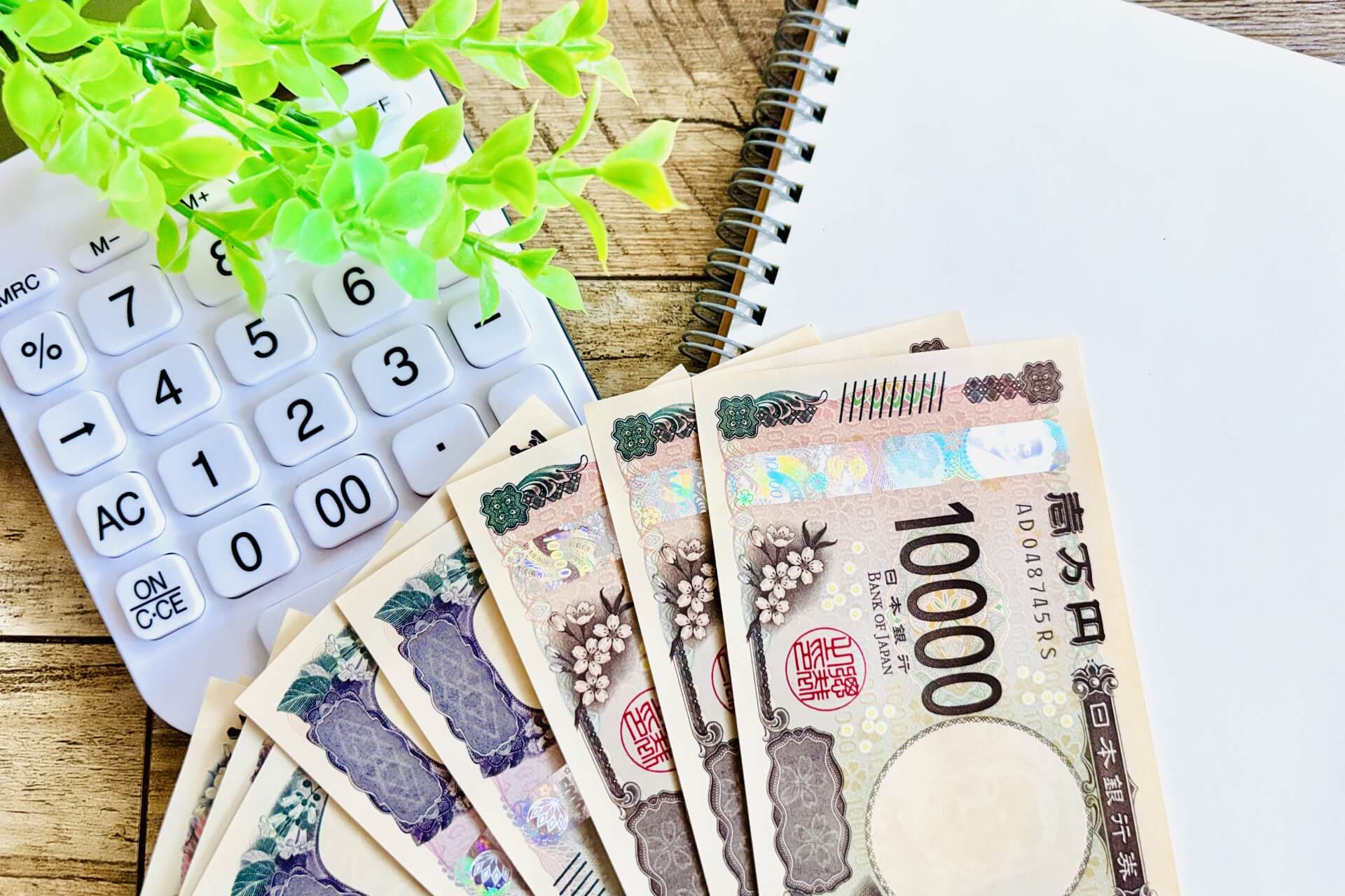 「消費が増えるか、ちょっと疑問ですね」　どうなる消費税減税？　専門家の見方は