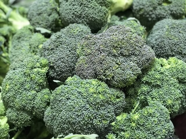 ブロッコリー５２年振り指定野菜追加　大竹「ずいぶん長い間増えなかったんだね」