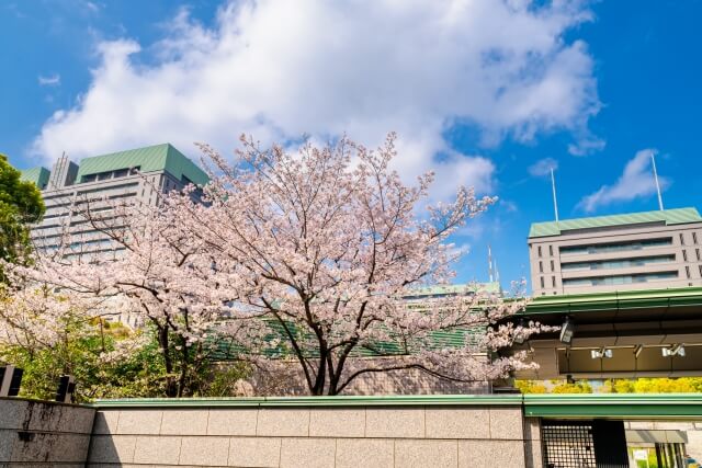 大学ファンドが防衛投資解禁へ 防衛研究の底上げにつながる