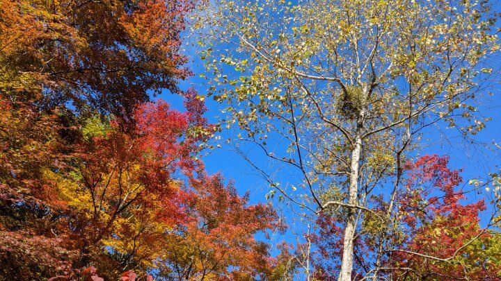 【水谷加奈の劇場型恋愛体質】ミスリードはやめよう