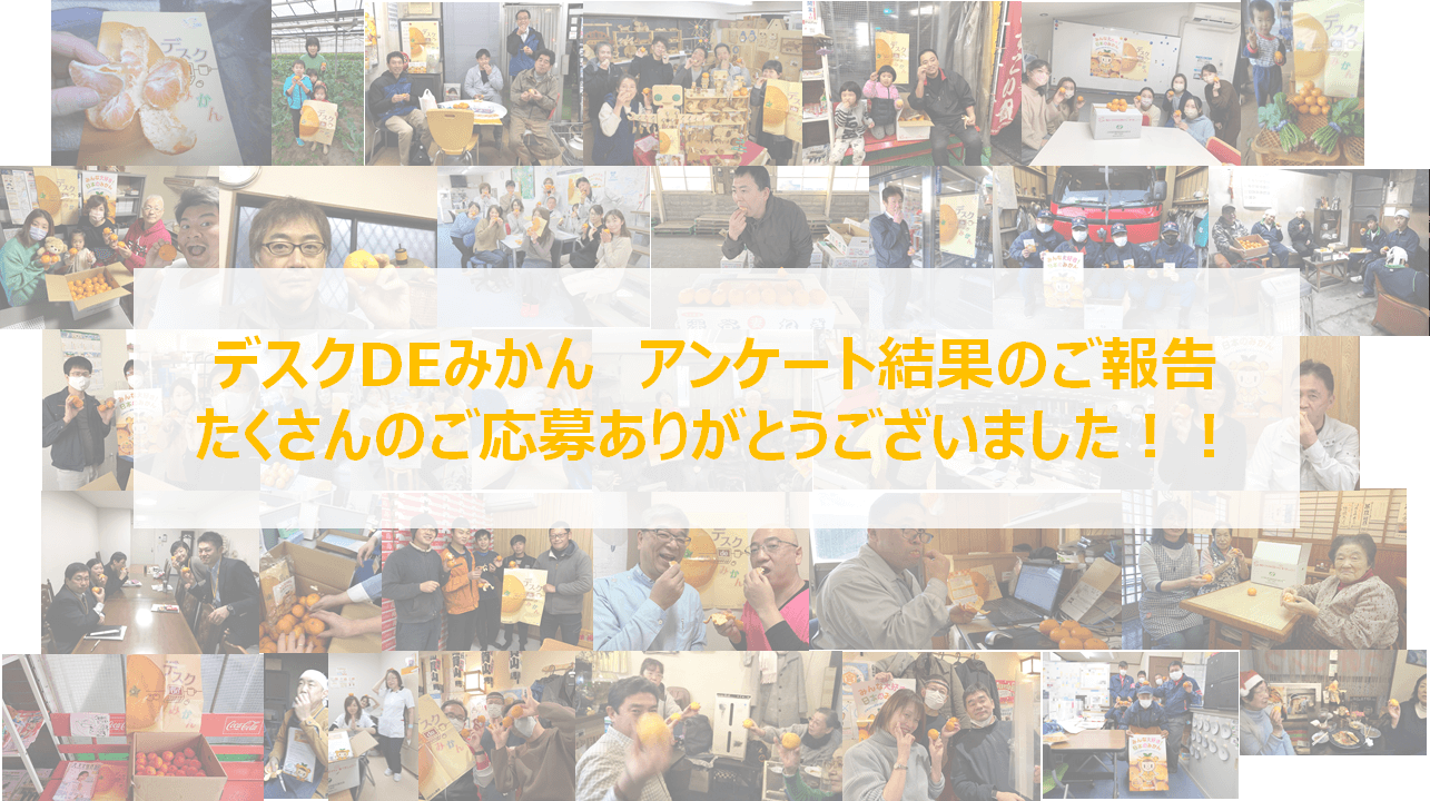 デスクDEみかん アンケート結果のご報告 デスクDEみかん アンケート結果のご報告