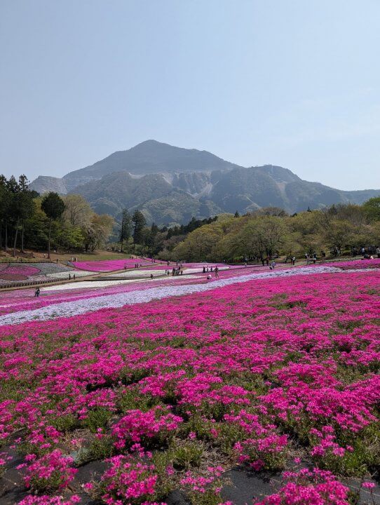 【お天気気象転結】おすすめ！秩父の旅