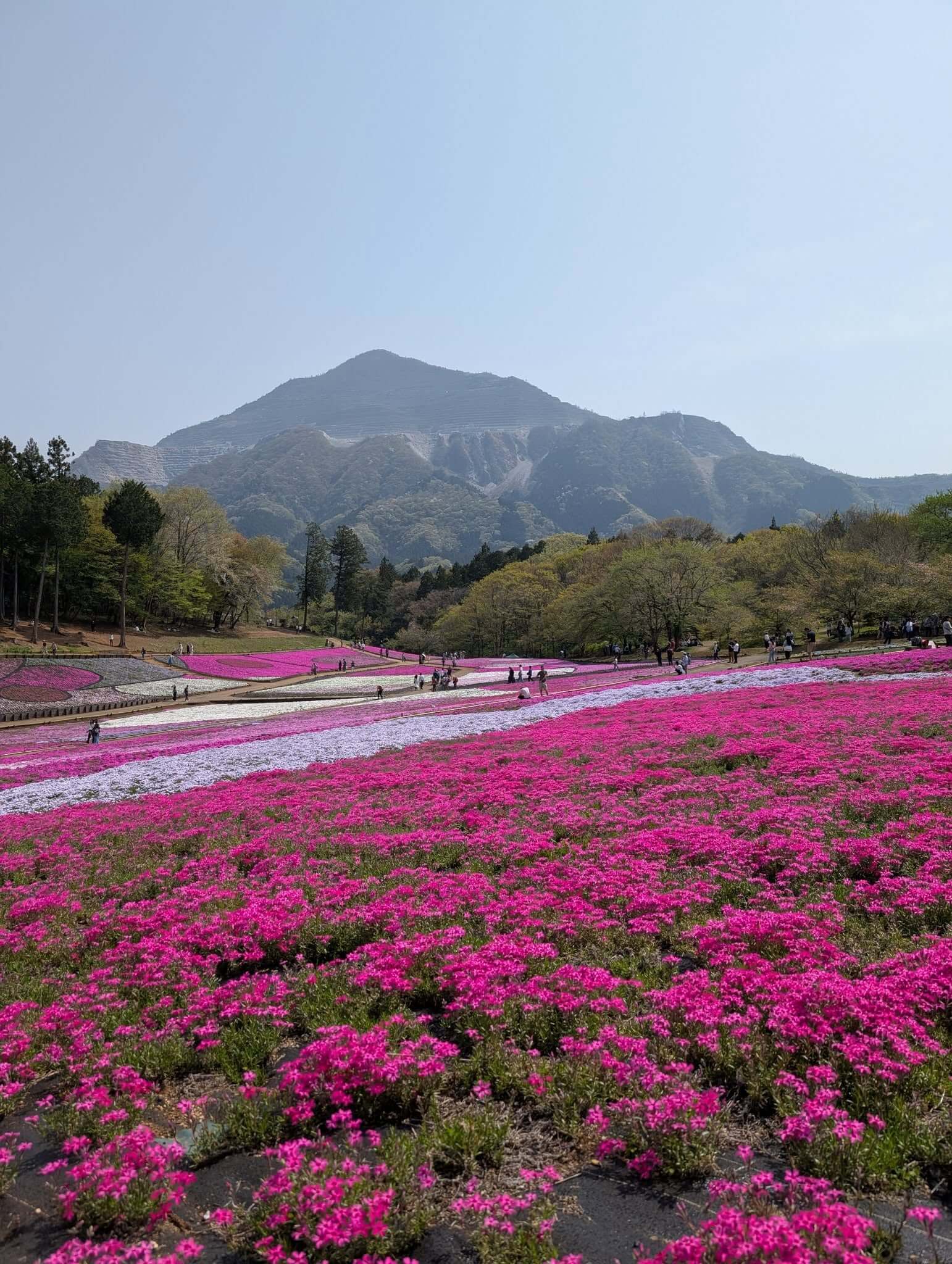 【お天気気象転結】おすすめ!秩父の旅 【お天気気象転結】おすすめ!秩父の旅