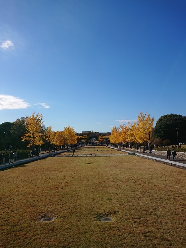 【お天気気象転結】深まる？秋