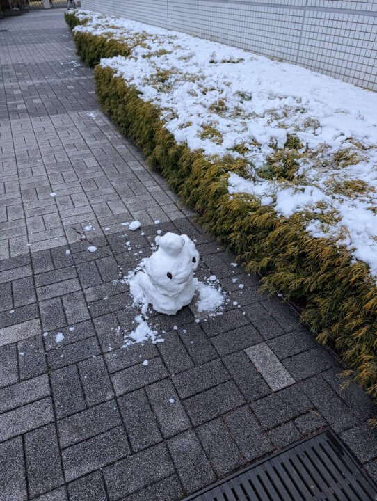 【お天気気象転結】雪と選挙とゴールデンラジオ