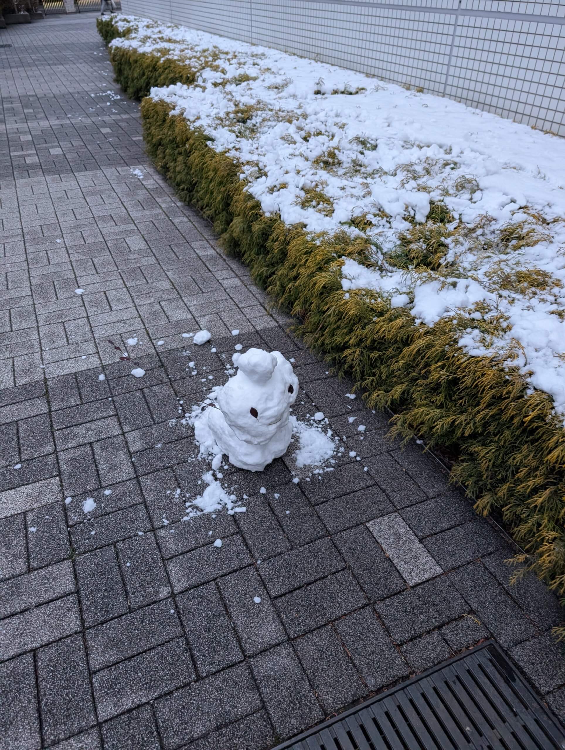 【お天気気象転結】雪と選挙とゴールデンラジオ