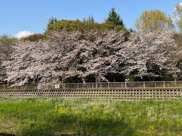 【お天気気象転結】思い込みはやめよう！