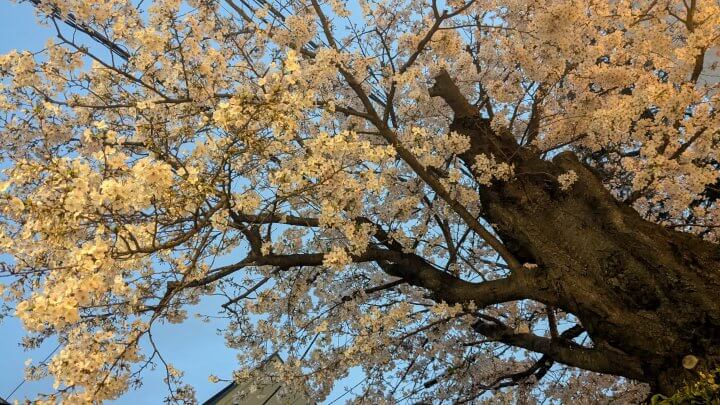 【水谷加奈の劇場型恋愛体質】解決できるのは生身の人間