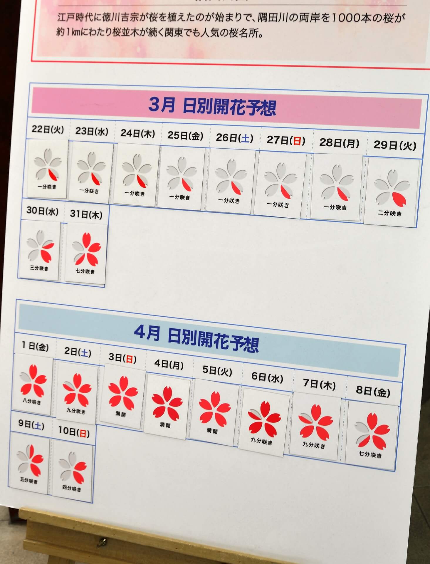 桜の開花予想出たけど「お花見どうする？」コロナ禍の普通とは何か？ ～1月14日「おはよう寺ちゃん」