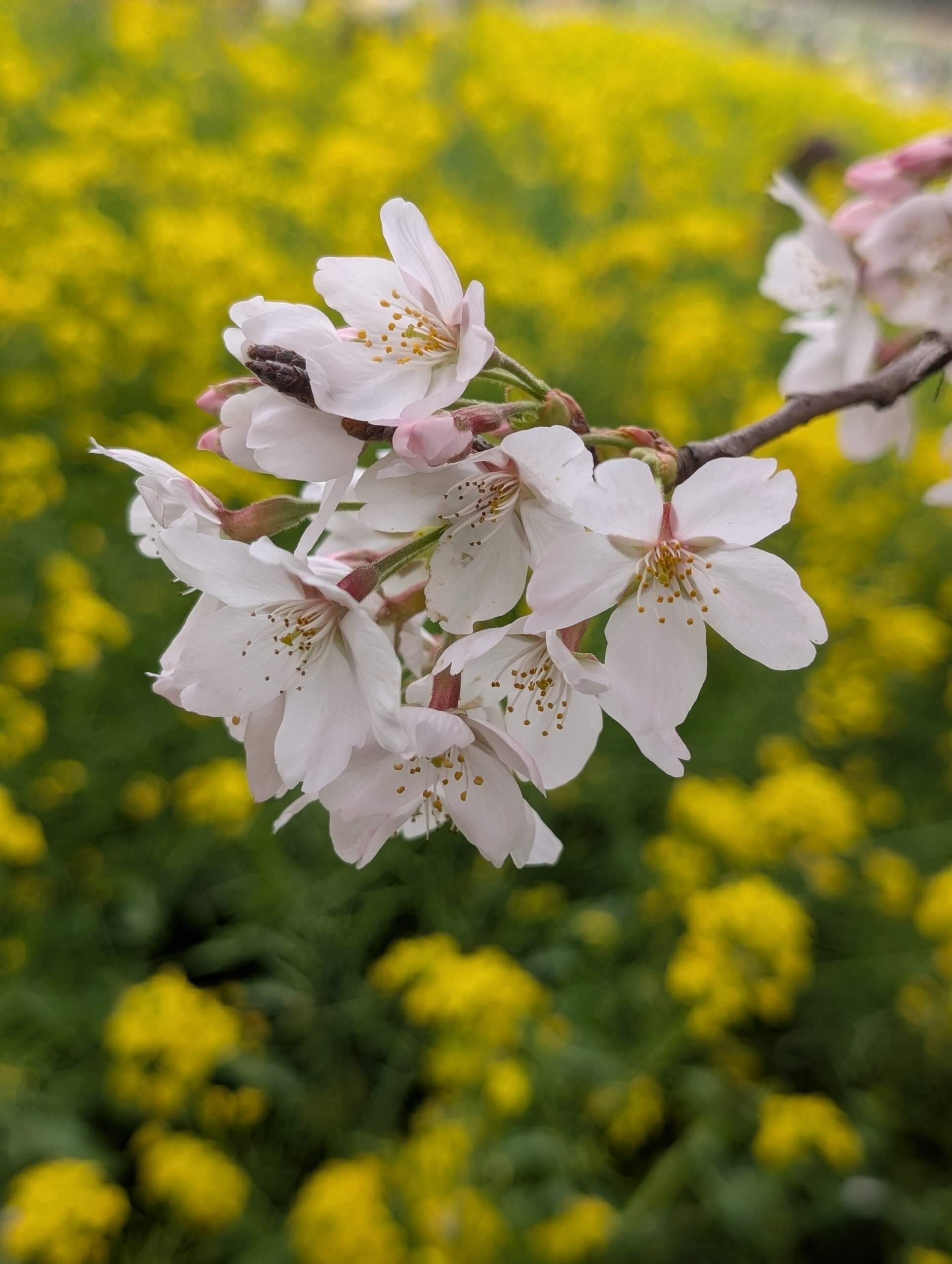 【お天気気象転結】フレッシュな方たちから学ぶ