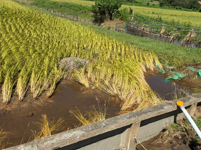 「レベル５大雨特別警報」一時福井県にも発表…相次ぐ浸水被害