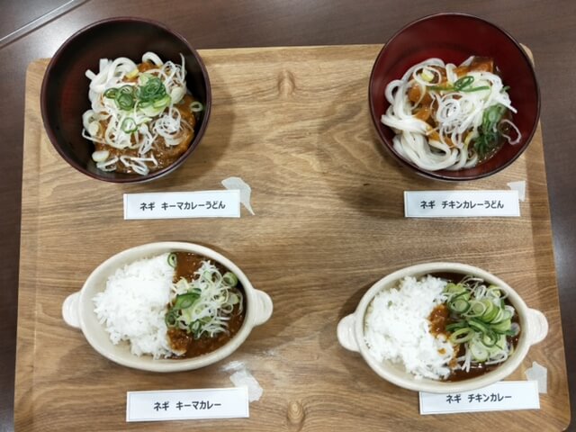 極めし　カレーにネギってアリなの？