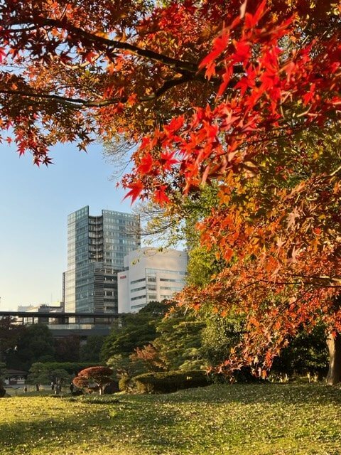 紅葉も楽しめる！「ワシザキスタイル＊ヨシオカモード」公開収録（11月23日）