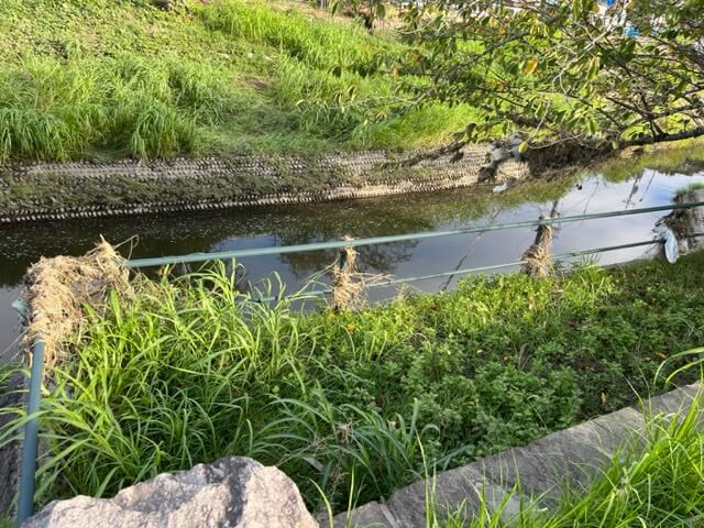 茂原市 浸水被害を振り返る