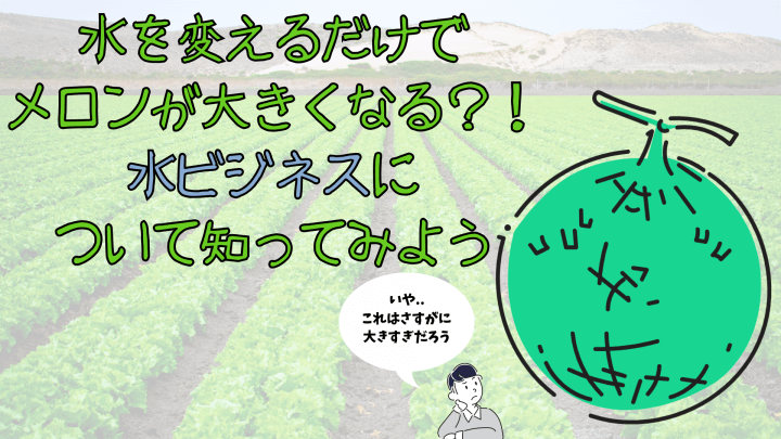 水を変えるだけでメロンが大きくなる！ 水ビジネスについて知ってみよう