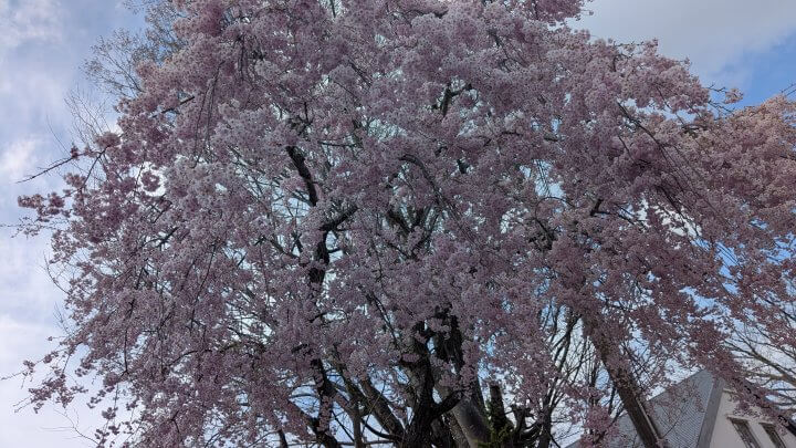 【水谷加奈の劇場型恋愛体質】これってどう思います？クレーマーの気持ちがわからないでもない…