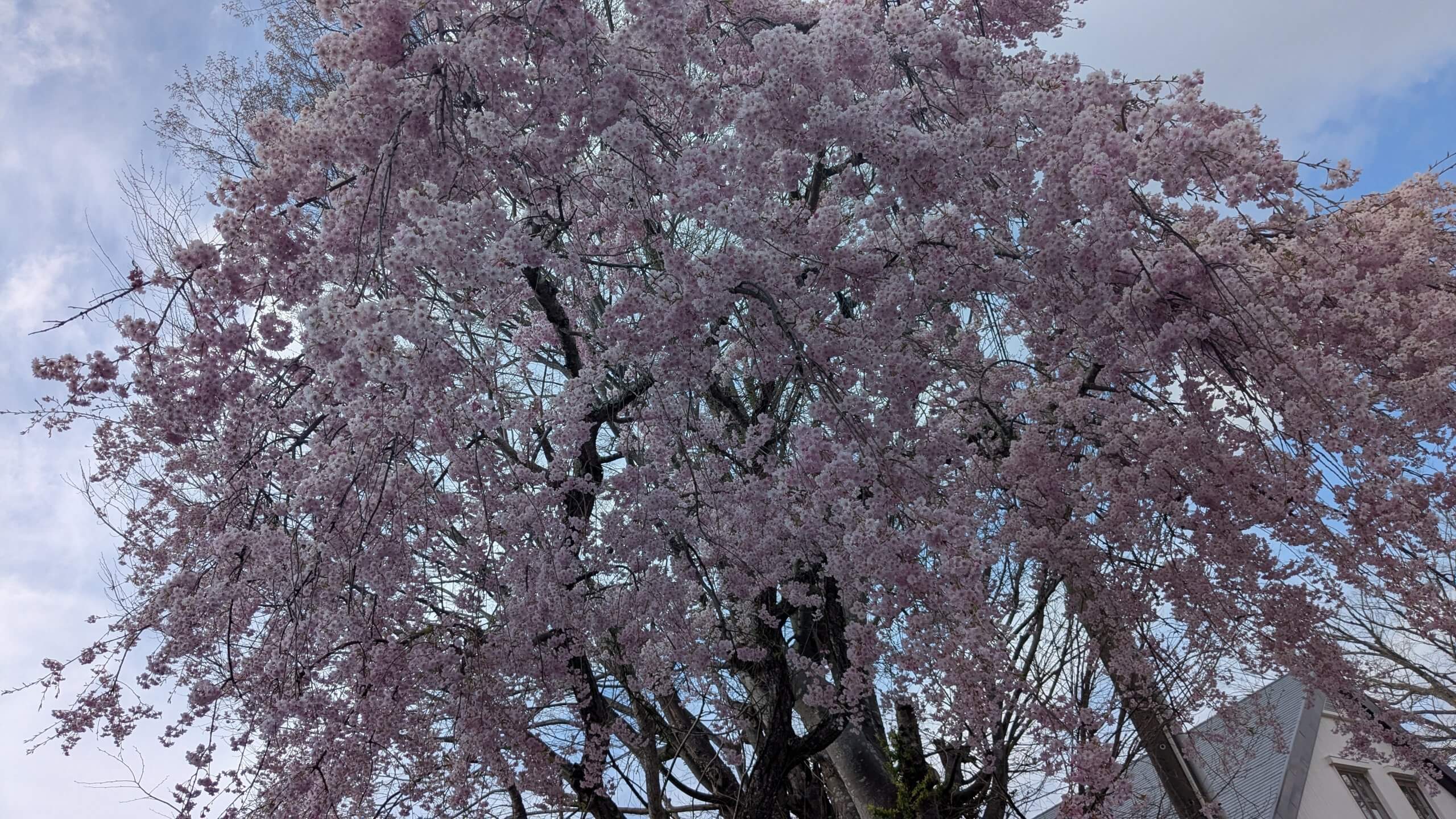 【水谷加奈の劇場型恋愛体質】これってどう思います？クレーマーの気持ちがわからないでもない…