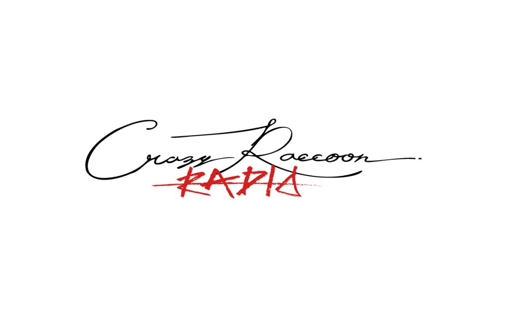 その他 CR CrazyRaccoon 改めまして、 ソニックレーシング クロスワールド×Crazy Raccoon