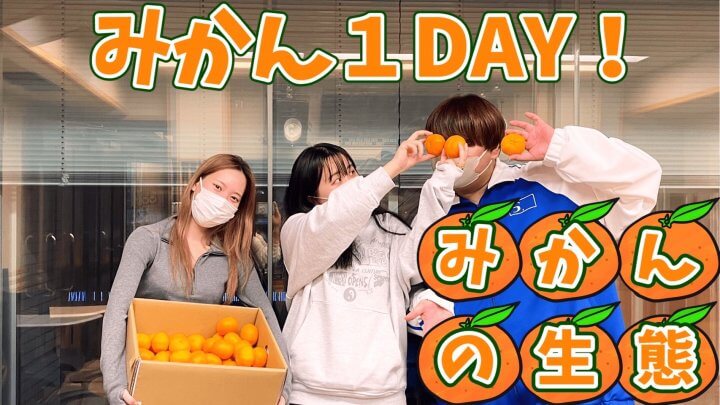 みかん１DAY！みかんの生態！