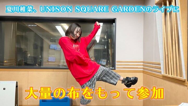 夏川椎菜、UNISON SQUARE GARDENのライブに大量の布をもって参加